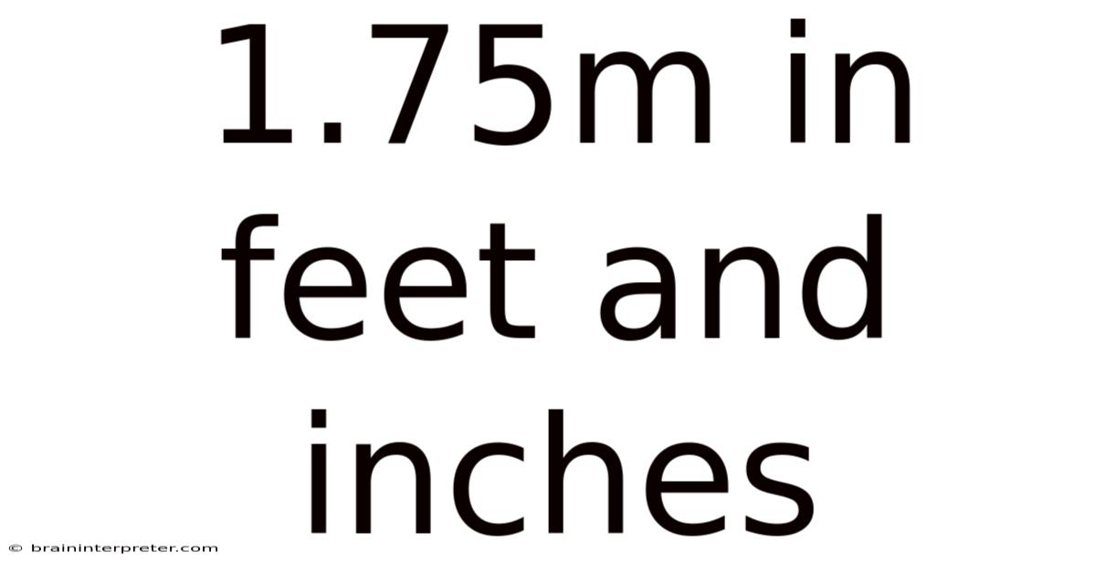 1.75m In Feet And Inches