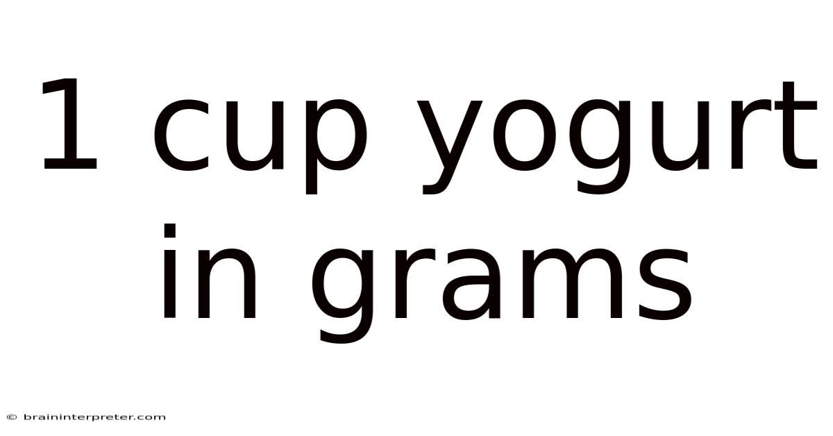 1 Cup Yogurt In Grams
