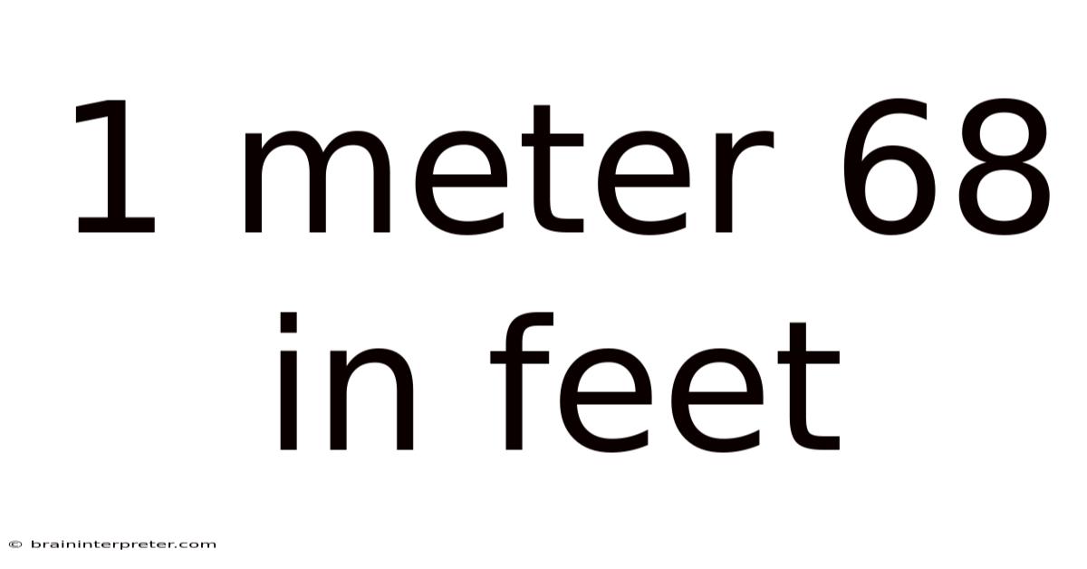 1 Meter 68 In Feet