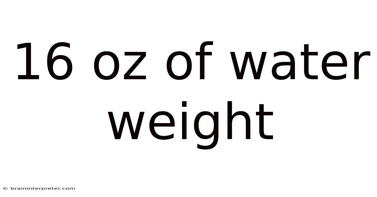 16 Oz Of Water Weight
