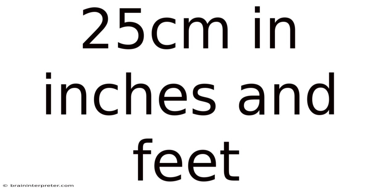 25cm In Inches And Feet