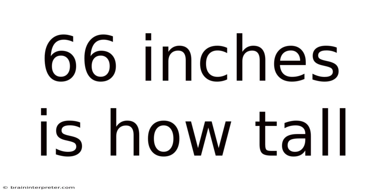 66 Inches Is How Tall