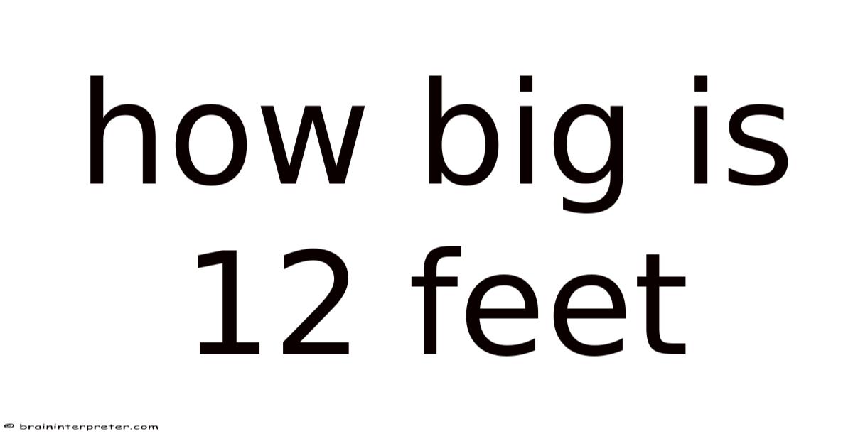 How Big Is 12 Feet