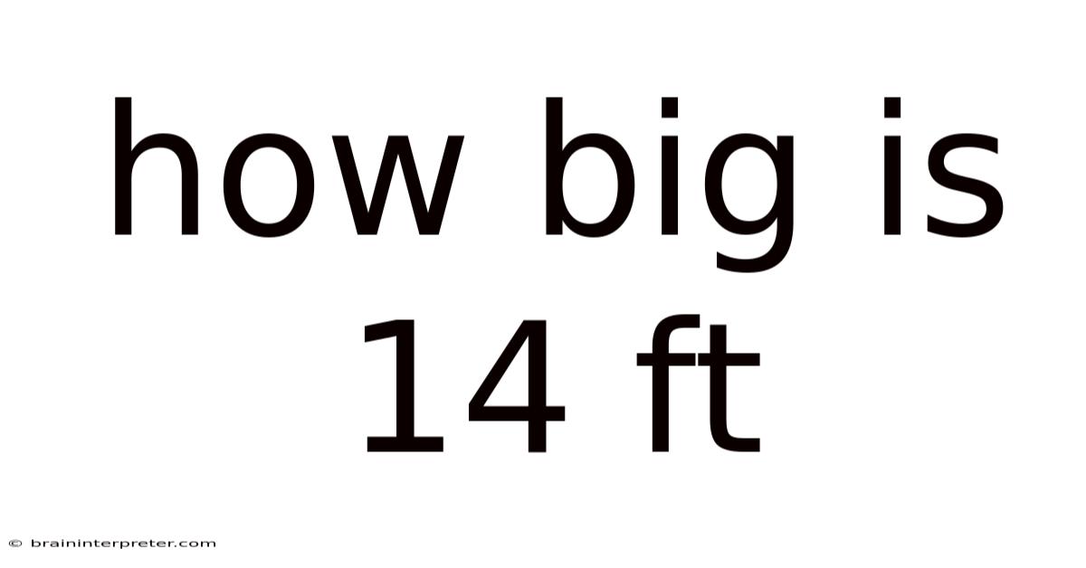 How Big Is 14 Ft
