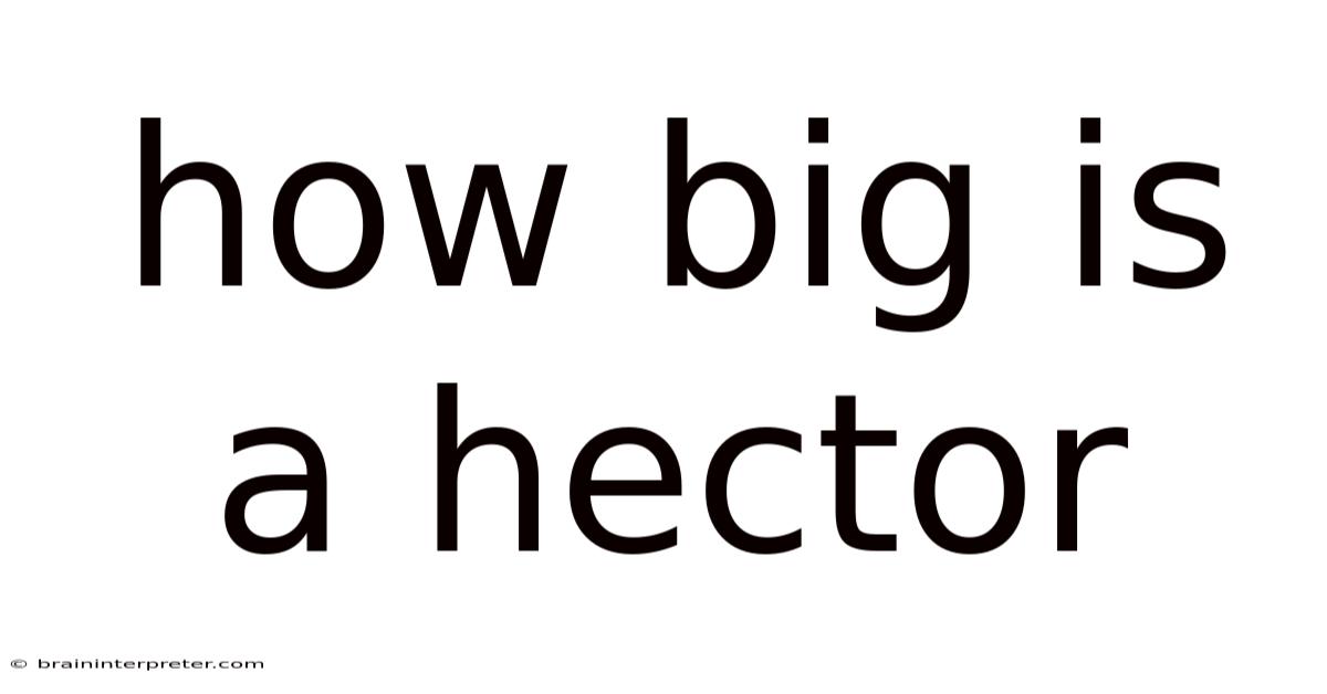 How Big Is A Hector