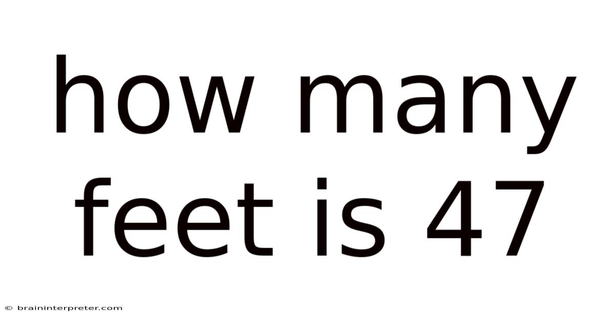 How Many Feet Is 47