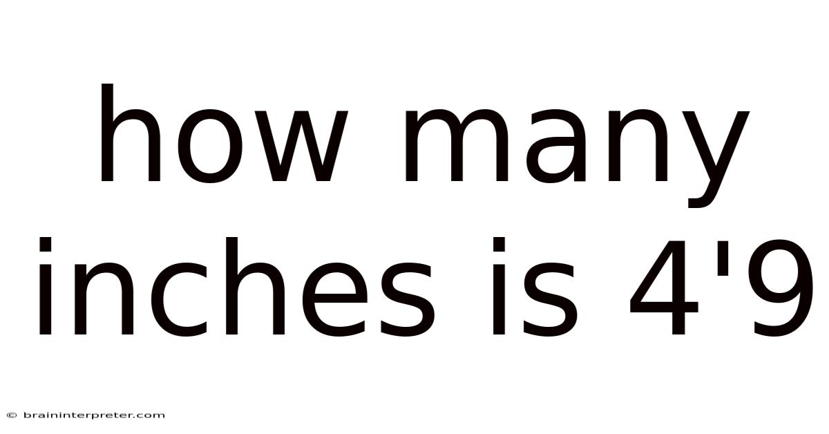 how-many-inches-is-4-9