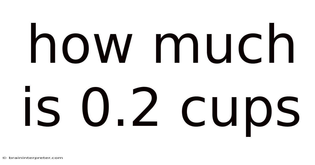 How Much Is 0.2 Cups