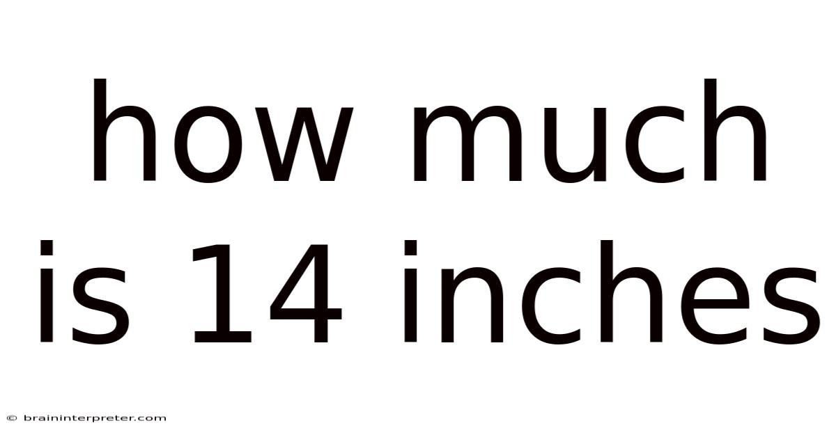 How Much Is 14 Inches