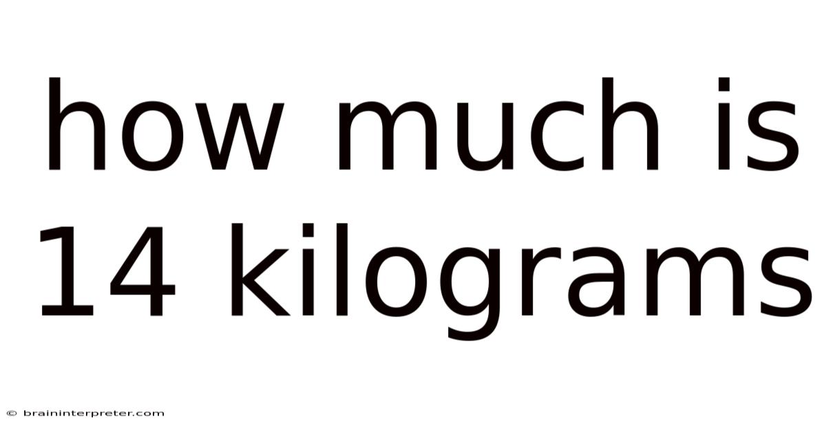 How Much Is 14 Kilograms