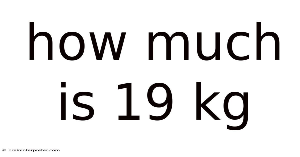 How Much Is 19 Kg