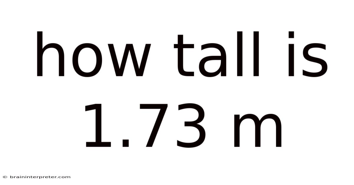 How Tall Is 1.73 M