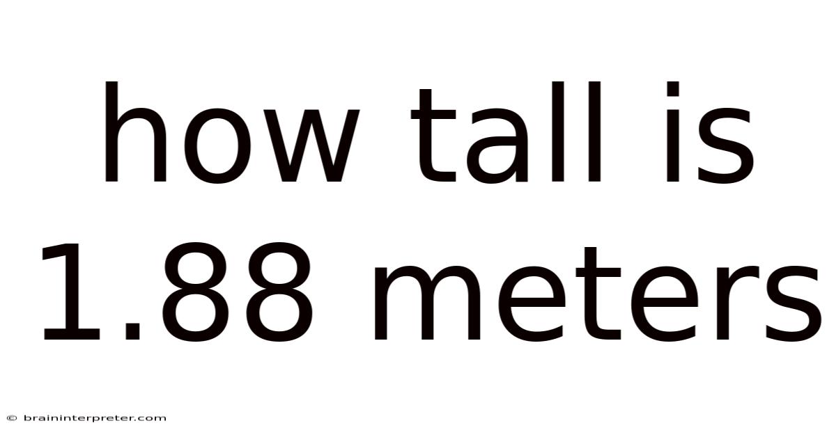 How Tall Is 1.88 Meters