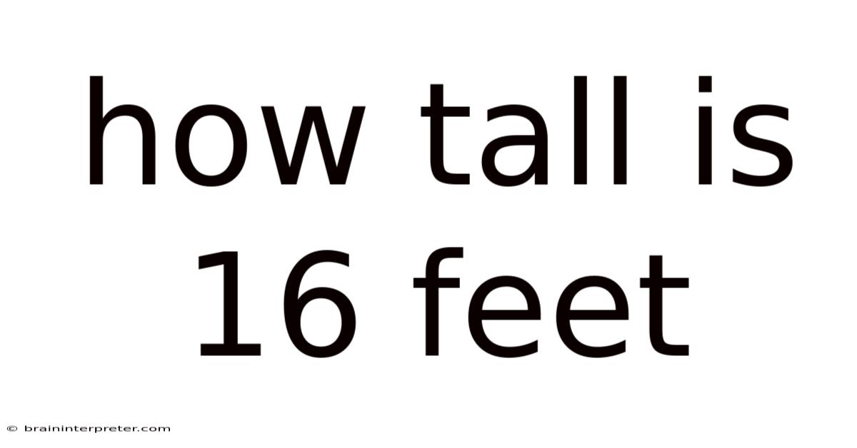 How Tall Is 16 Feet