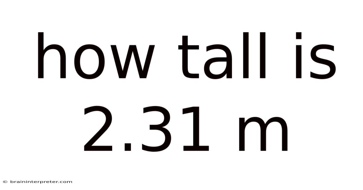 How Tall Is 2.31 M