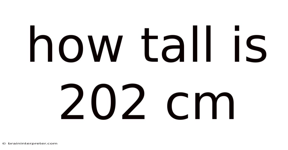 How Tall Is 202 Cm