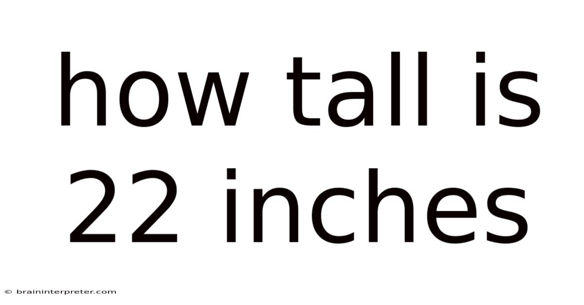 How Tall Is 22 Inches