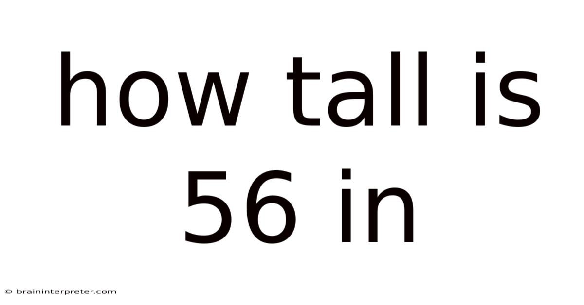 How Tall Is 56 In