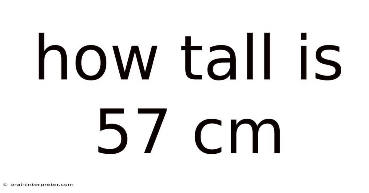 How Tall Is 57 Cm