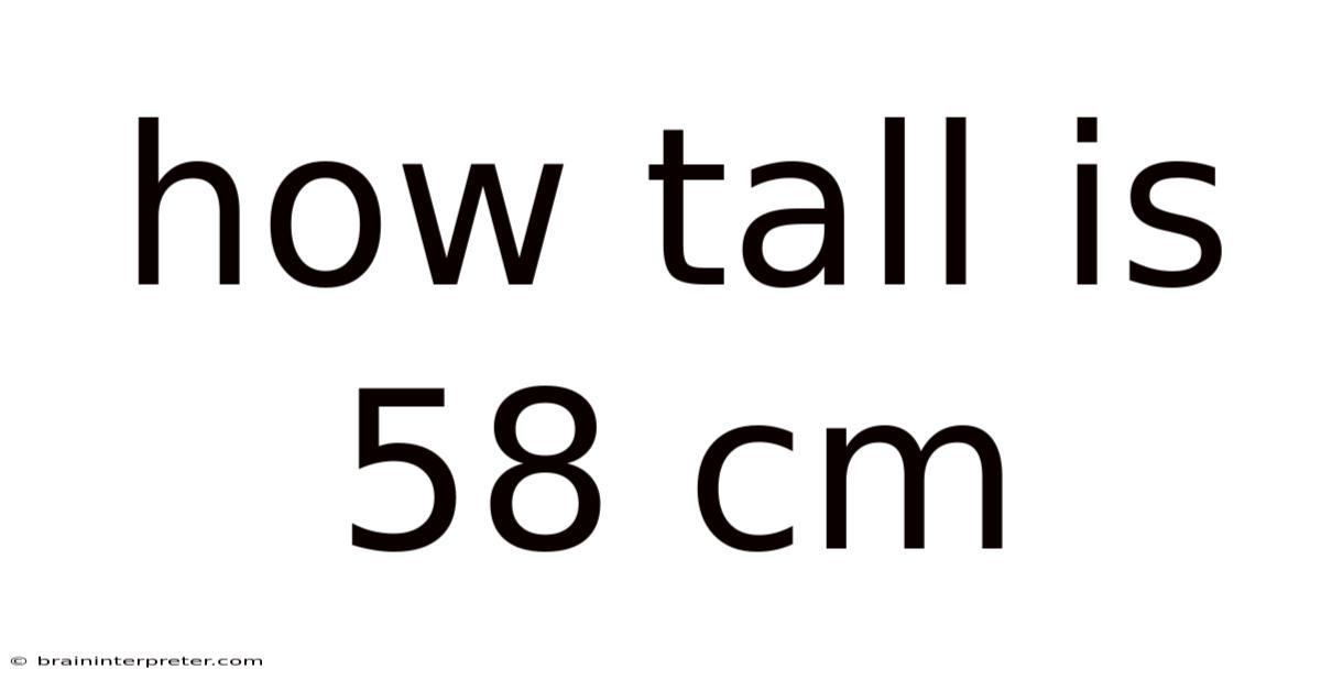 How Tall Is 58 Cm