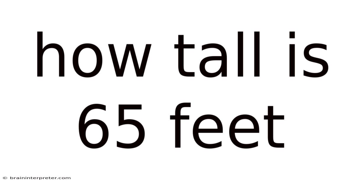 How Tall Is 65 Feet